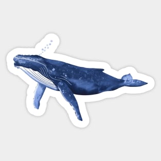 Humpback Whale Sticker